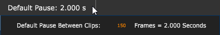 Setting the default pause in the project window